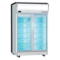 Visicooler de congelación de 2 puertas Berjaya - 2D/DF-S-EV
